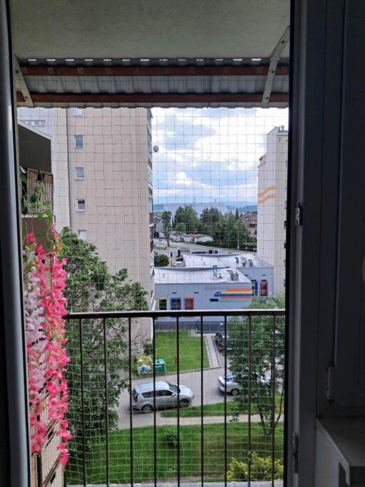 Apartament Na 4 Pietrze Nowy Targ Εξωτερικό φωτογραφία