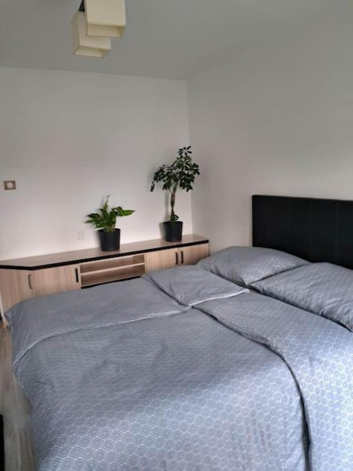 Apartament Na 4 Pietrze Nowy Targ Εξωτερικό φωτογραφία